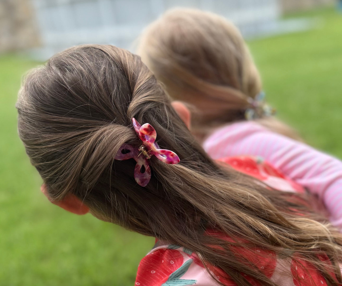 Butterfly Claw Clip